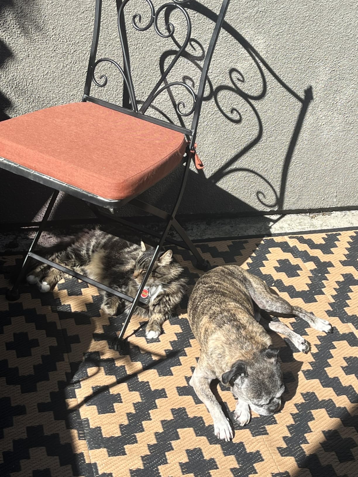 SAND MINE Waterproof Outdoor Rug 5x8 ft, Plastic Reversible Rug, Modern Area Rug, Large Floor Mat for Outdoors, RV, Patio, Backyard, Deck, Picnic, Beach, Camping, Black & Beige customer photo 1