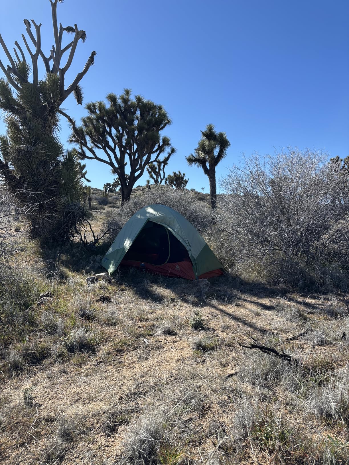 Kelty Discovery Trail Backpacking Tent, Lightweight and Easy to Setup Backpacking Shelter with 2 Aluminum Poles, Single Door Single Vestibule, Stuff Sack Included customer photo 1