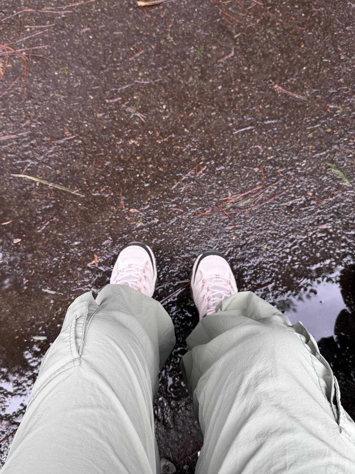 Merrell Women's Moab 3 Mid Waterproof Hiking Boots customer photo 2