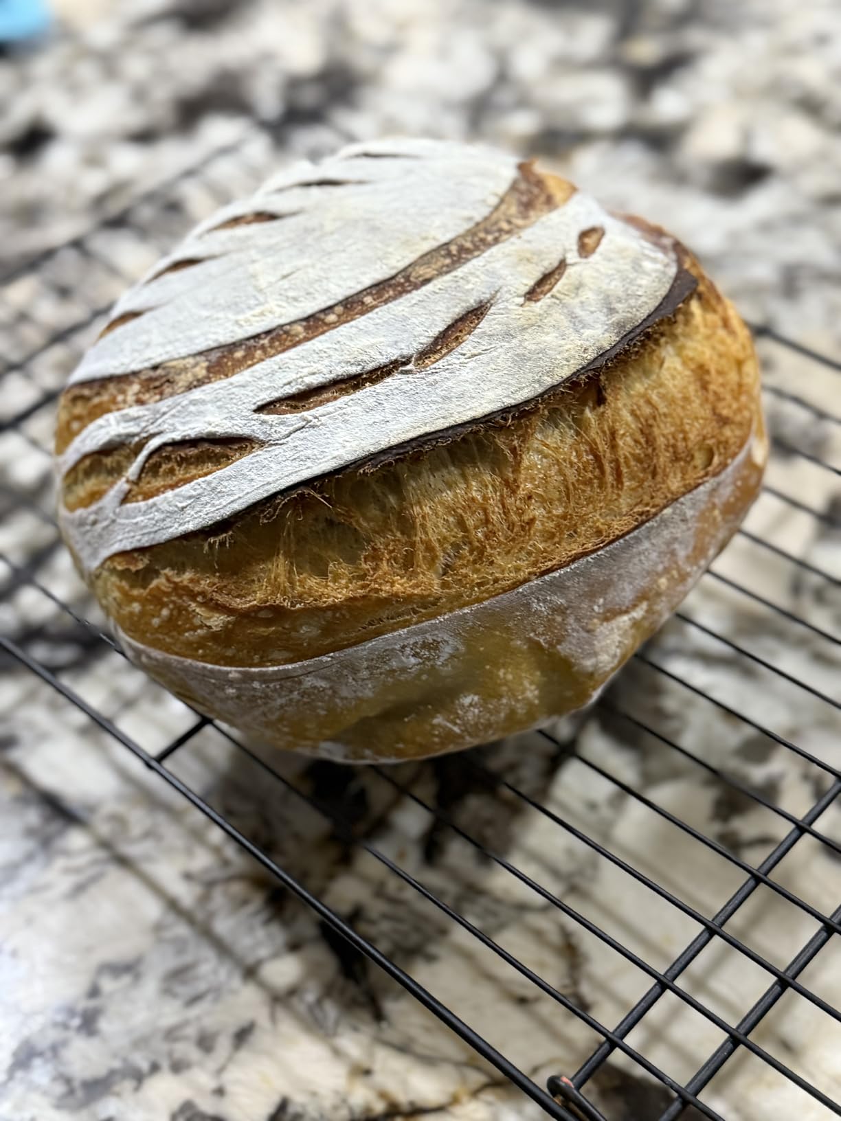 Starfrit Deli Slicer - Slices Meat, Cheese, Bread - 6.5