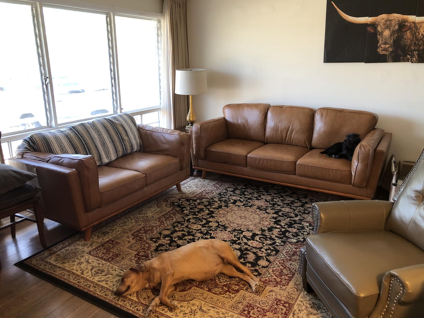 Valencia Artisan Full Leather Sofa 88