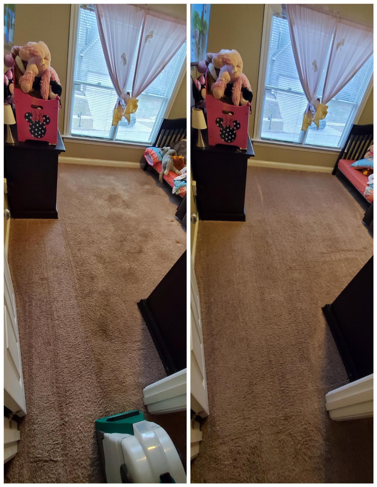 Bissell Big Green PET PRO Carpet Cleaner with 8 Row XL DirtLifter PowerBrush, 9-inch Long Reach Hose, 2 Upholstery Tools, Includes Pet Pro Oxy Urine Eliminator Formula customer photo 1