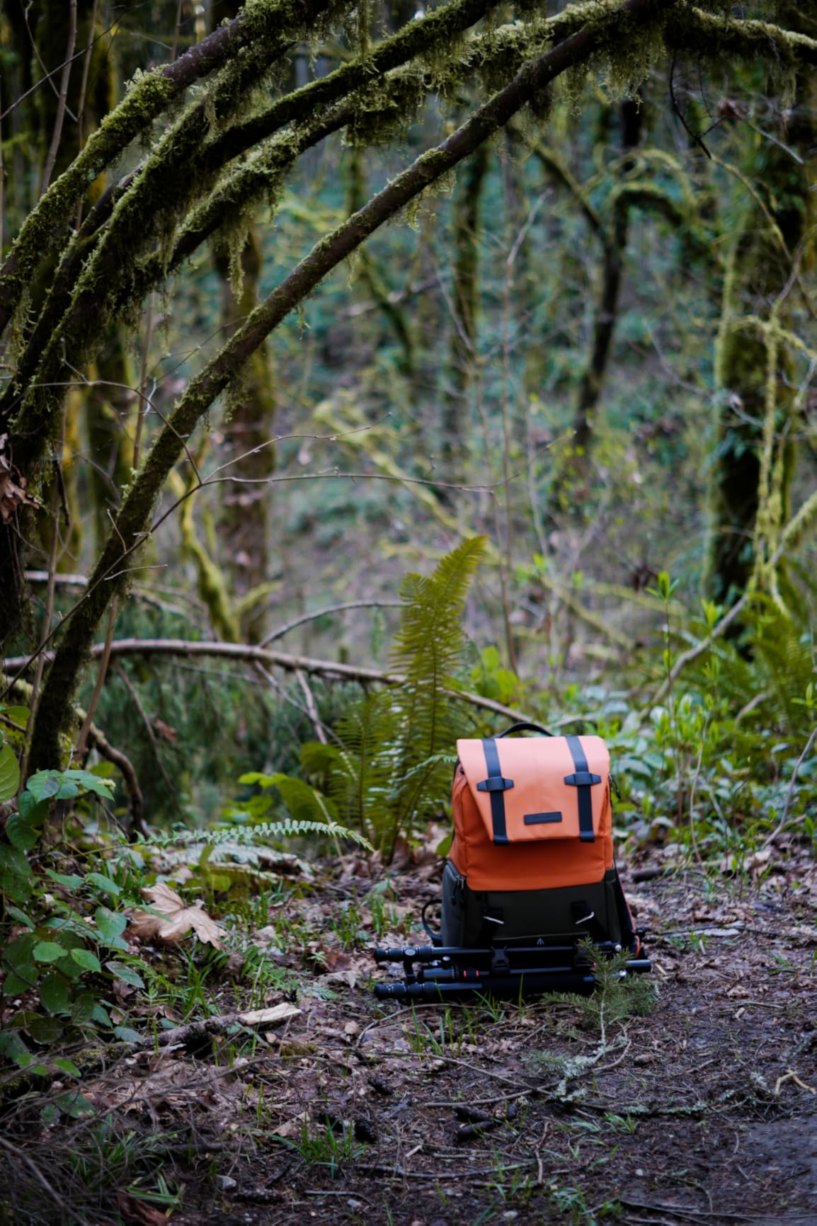 K&F CONCEPT Camera Backpack, Camera Bags for Photographers Large Capacity Camera Case with Raincover,15-15.6 Inch Laptop Compartment Compatible for Canon/Nikon/Sony/DJI Mavic Drone(Backpack 20L) customer photo 1