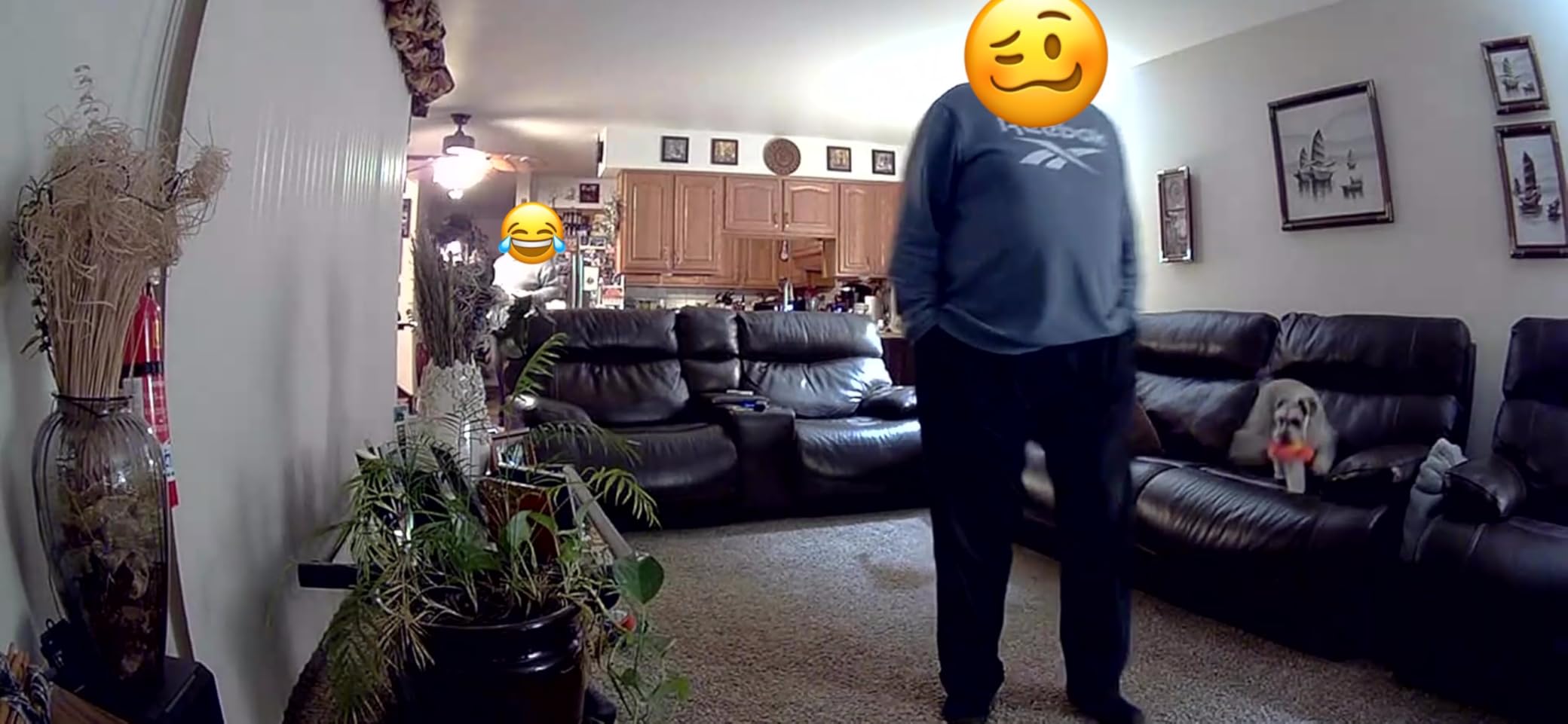 Ring Indoor Cam - 1080p HD Home Security Camera customer photo 1