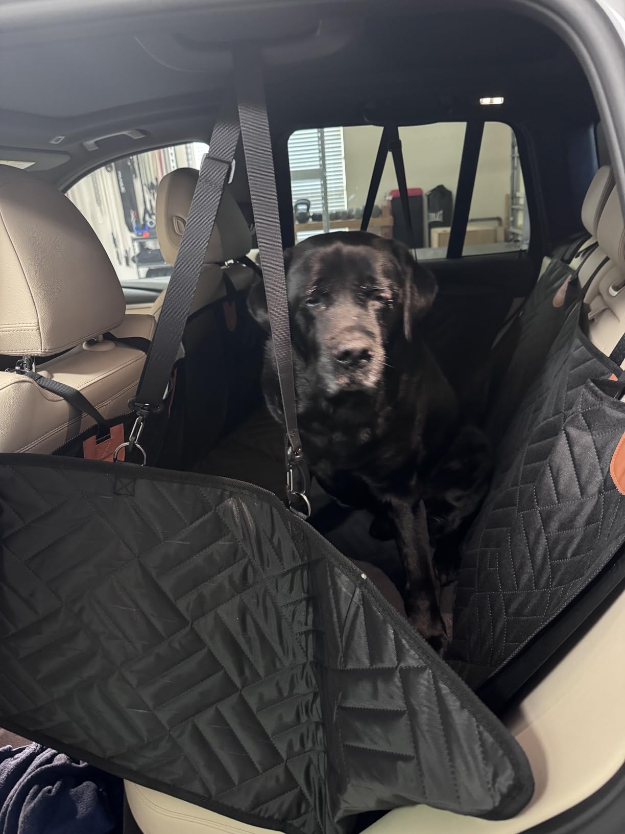 YJGF Back Seat Extender for Dogs, Waterproof Dog Car Seat Cover with Hard Bottom for Car, SUV, Small Truck customer photo 2