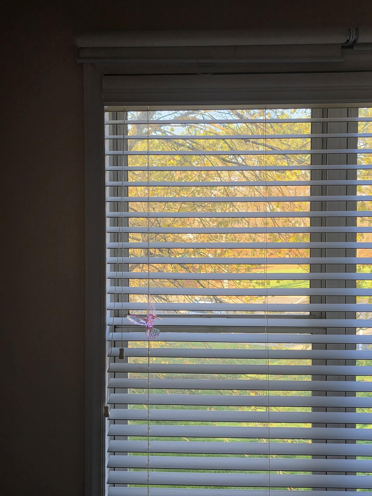 AOSKY Cordless Roller Shades Blackout Blinds for Windows Room Darkening Rolled Up Shades with Spring System, UV Protection (23