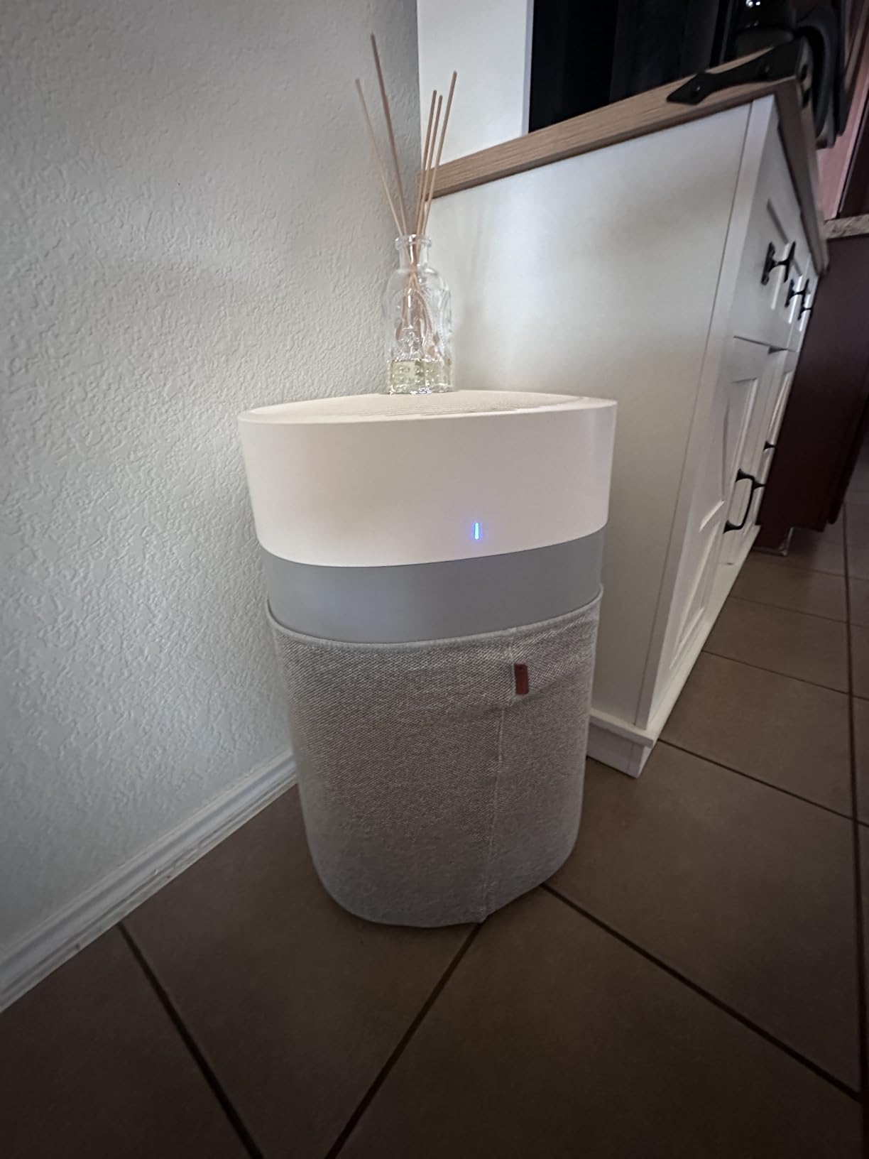 BLUEAIR Air Purifiers for Large Rooms, Cleans 3,048 Sqft, HEPASilent Smart Air Cleaner - Blue Pure 211i Max customer photo 1