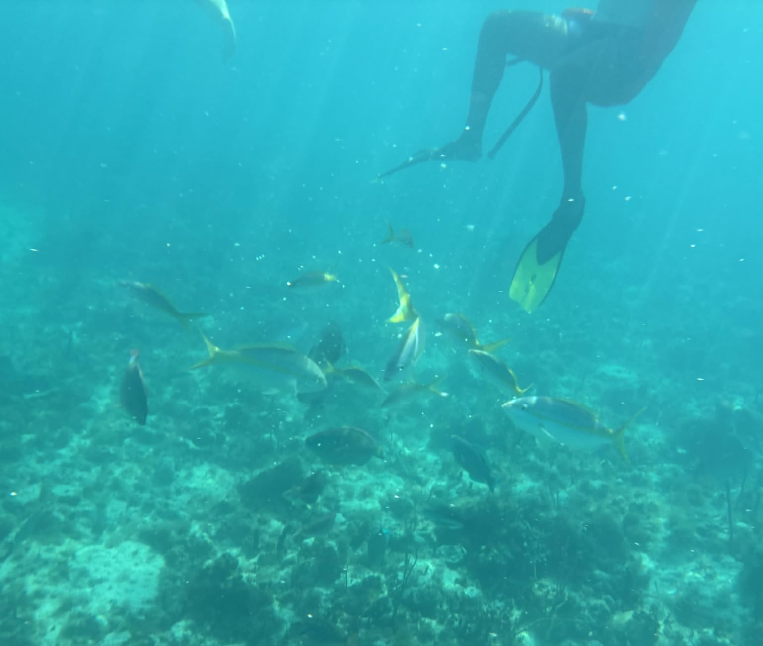 Hiearcool Waterproof Phone Pouch, Universal Waterproof Phone Case Dry Bag Travel Essentials customer photo 1