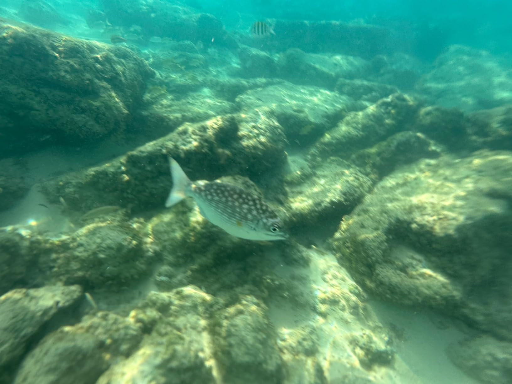 Hiearcool Waterproof Phone Pouch, Universal Waterproof Phone Case Dry Bag Travel Essentials customer photo 2