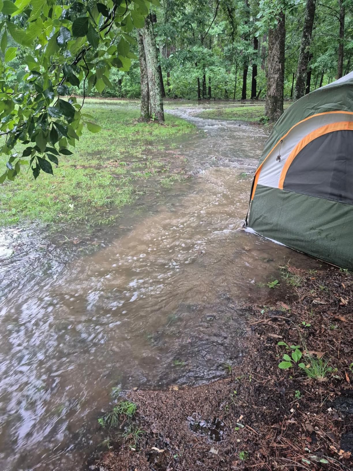 GoHimal 8 Person Tent for Camping, Waterproof Windproof Family Tent with Rainfly, Divided Curtain Design for Privacy Space, Portable with Carry Bag customer photo 1