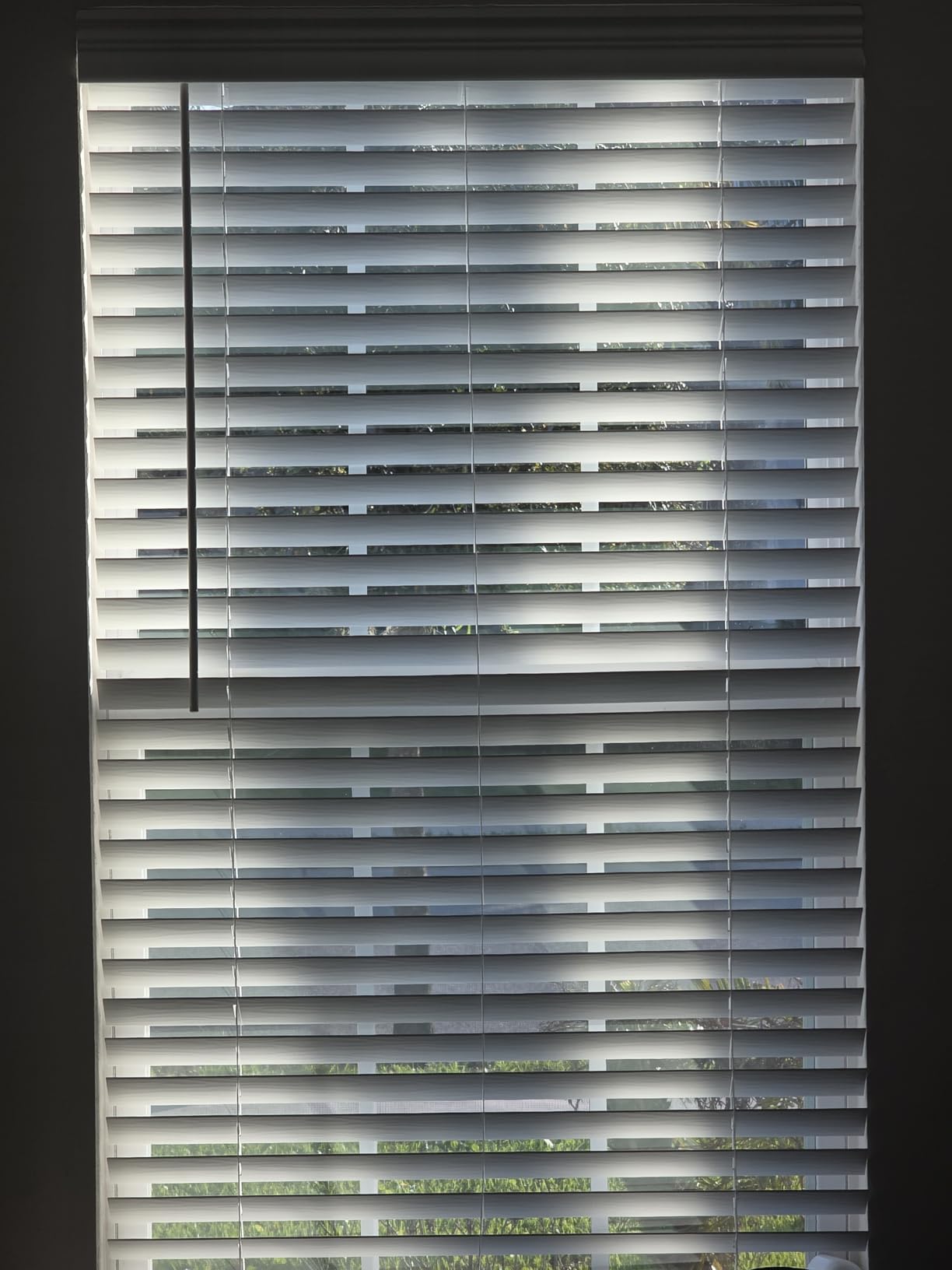 Lotus & Windoware Cordless, 2 Inch Faux Wood Blind, 34