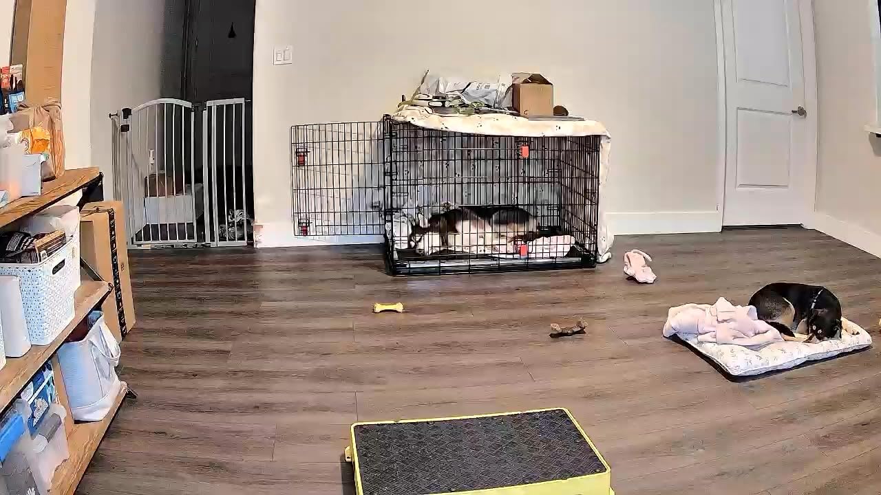 Kasa 1080p Indoor Pan/Tilt Wired Security Camera - Works as a Baby & Pet Monitor, Motion Detection & Tracking, 2-Way Audio, Night Vision, Subscription-Free Local Storage or Optional Cloud, EC71 customer photo 1