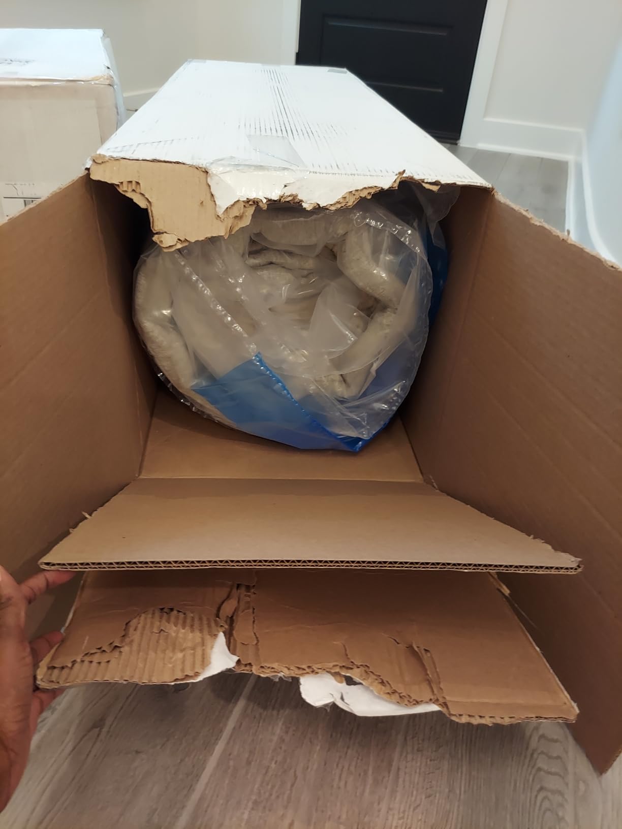 Ethical Mattress CO 10