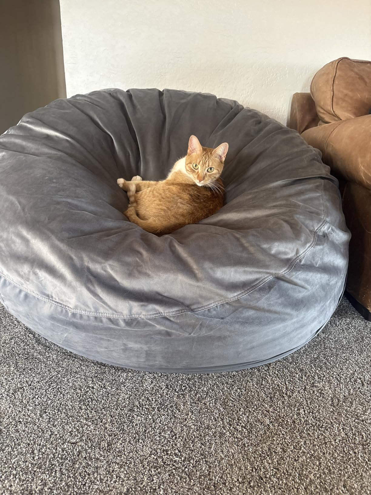 Homguava 6FT Bean Bag Chair Giant BeanBag with Memory Foam Filled, Large Bean Bag Chairs for Adults, Adult Bean Bag Chair with Dutch Velvet Cover for Living Room Bedroom-Black customer photo 2
