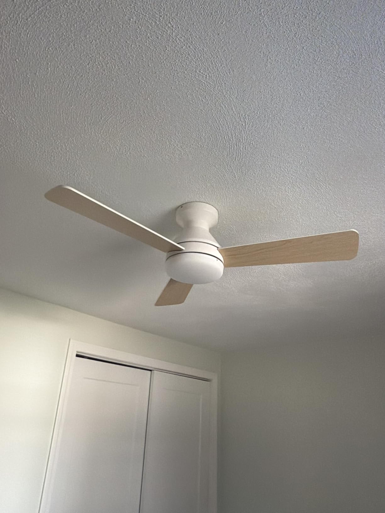 Amico Ceiling Fans with Lights, 42 inch Low Profile Ceiling fan with Light and Remote Control, Flush Mount, Reversible, 3CCT, Dimmable, Noiseless, Black Ceiling Fan for Bedroom, Indoor/Outdoor Use customer photo 2