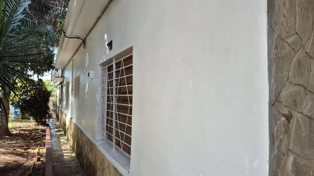 Ultimate White Paint & Primer in One, Satin White, 1 Gallon - Interior & Exterior, Low VOC customer photo 2