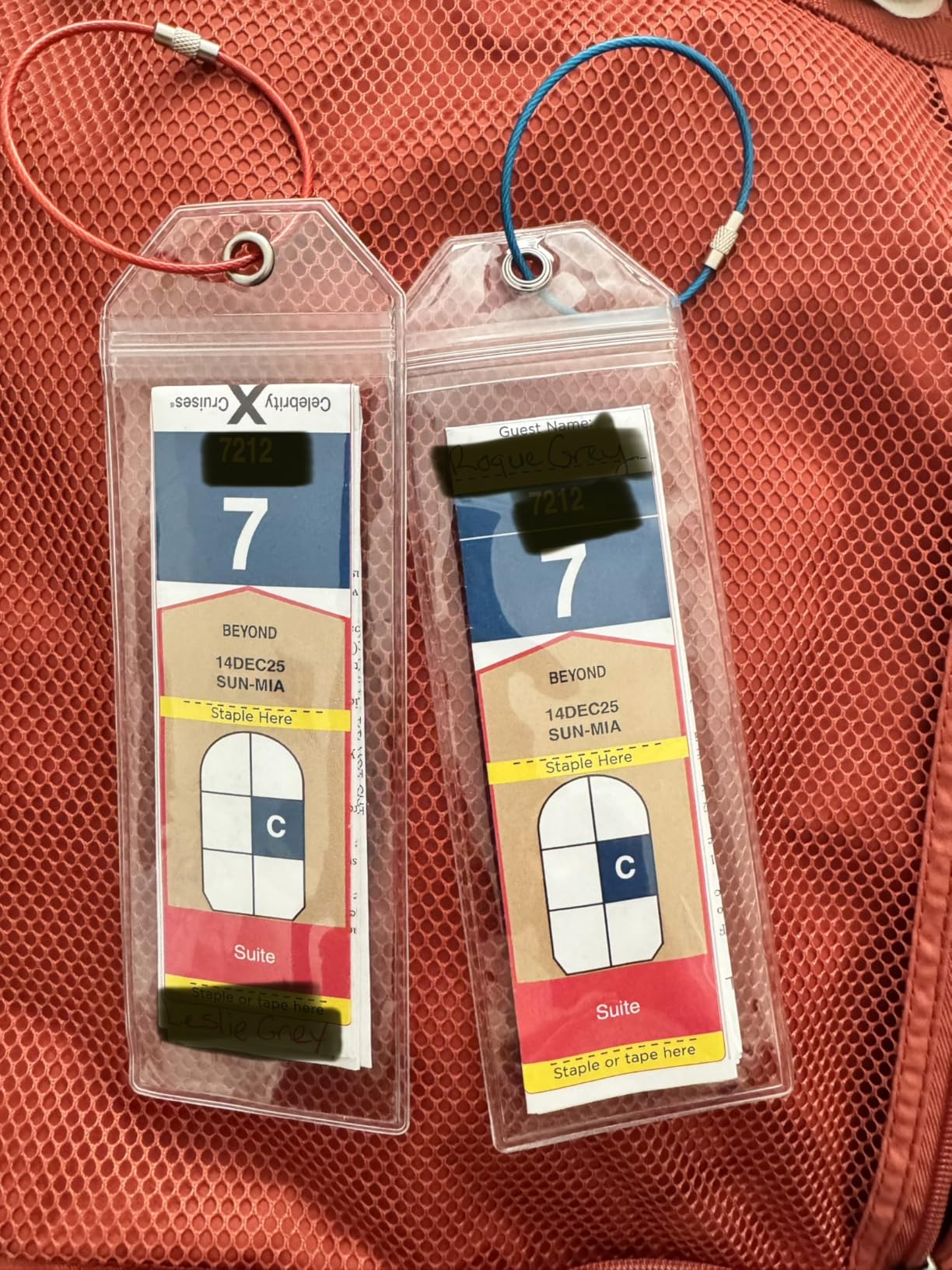 Cruise Luggage Tags for Carnival, MSC, Costa, NCL & Princess Cruise Ships customer photo 1