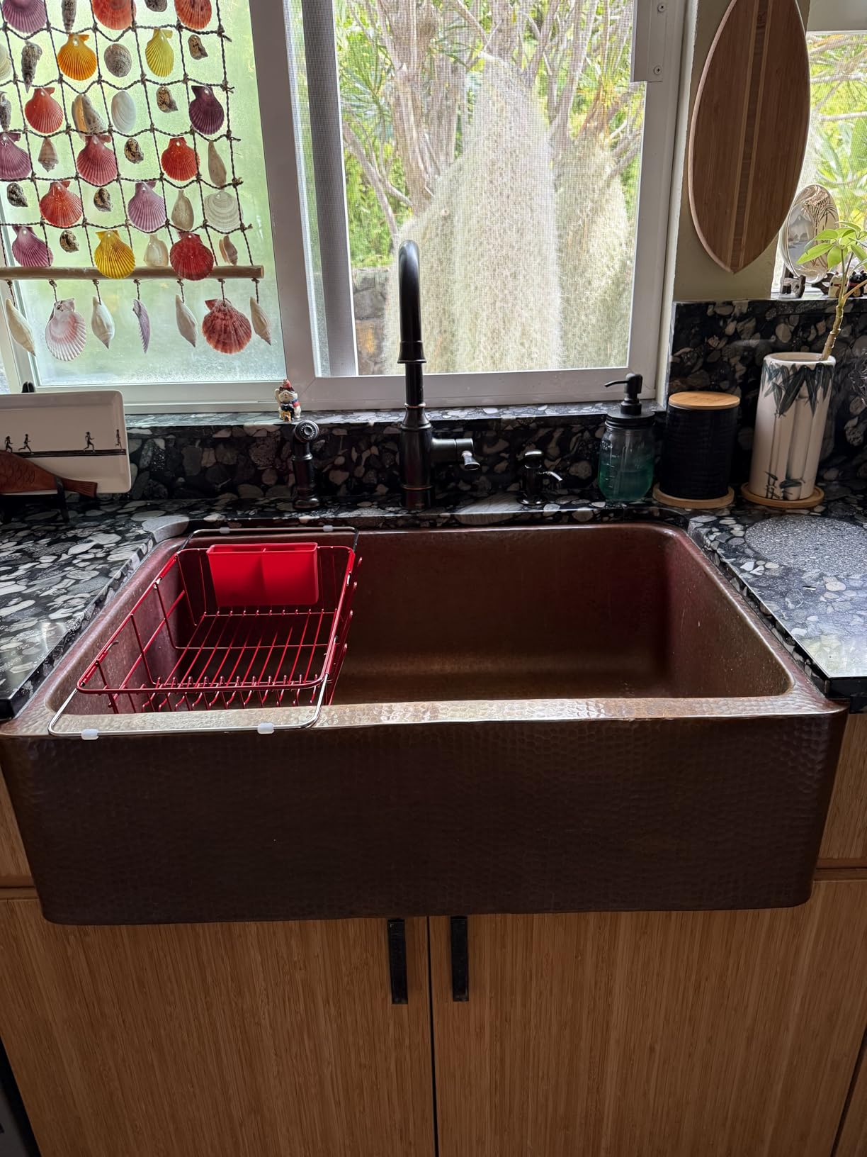 JASIWAY Dish Drying Rack in Sink, Expandable Stainless Steel Dish Drainers for Kitchen Counter, Dish Dryer Rack for Inside Sink, Over The Sink Dish Racks with Utensil Holder, Silver customer photo 2