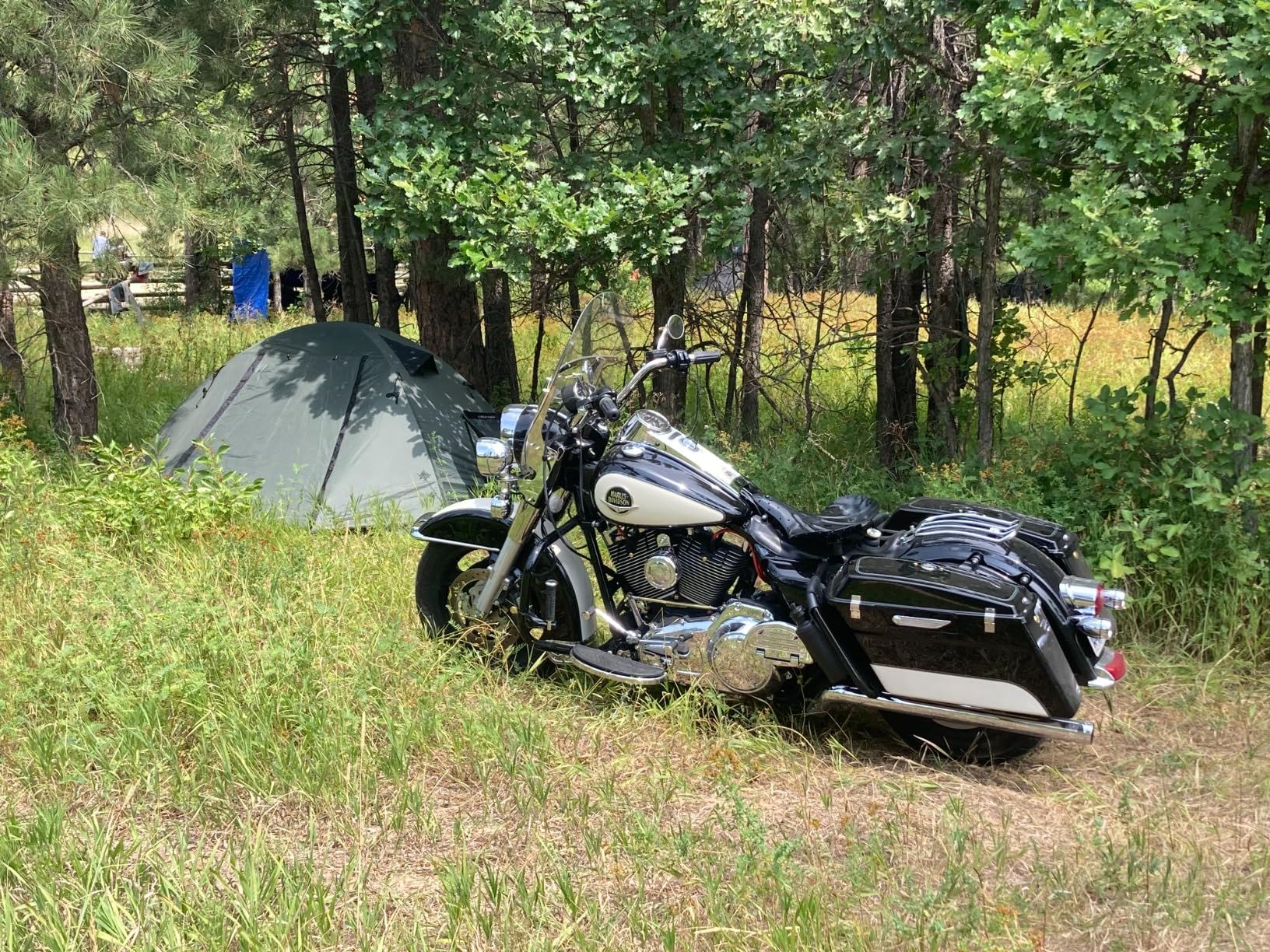 Forceatt Camping Tent 2/3/4 Person, Professional Waterproof & Windproof Lightweight Backpacking Tent Suitable for Outdoor,Hiking,Camping, Mountaineering and Travel customer photo 1