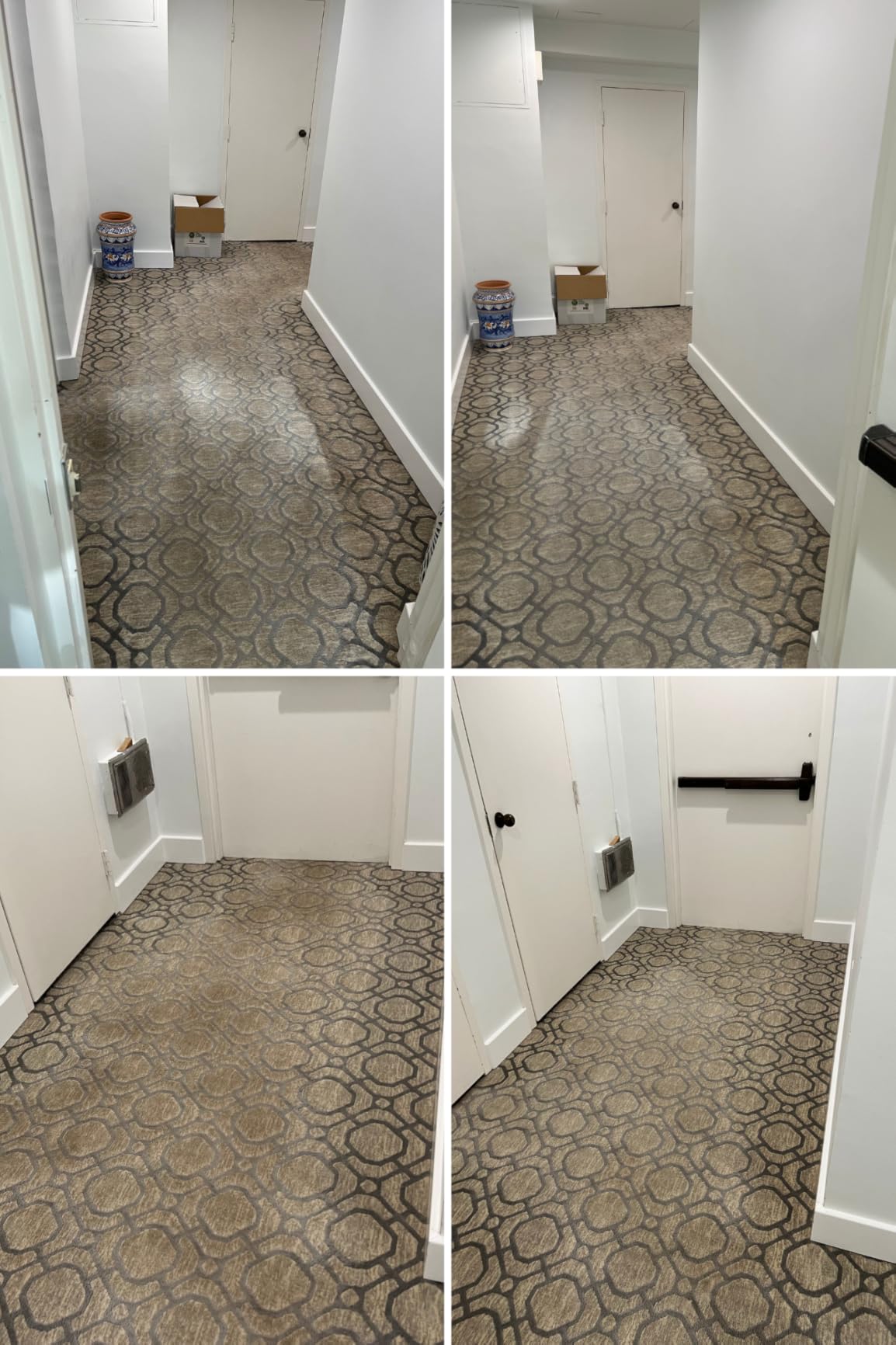 Shark CarpetXpert | Upright Carpet, Area Rug & Upholstery Cleaner | Carpet Shampooer with StainStriker Handheld Tough Stain Eliminator | Removes Tough Stains & Odors | 3 Cleaning Tools | White | EX201 customer photo 1