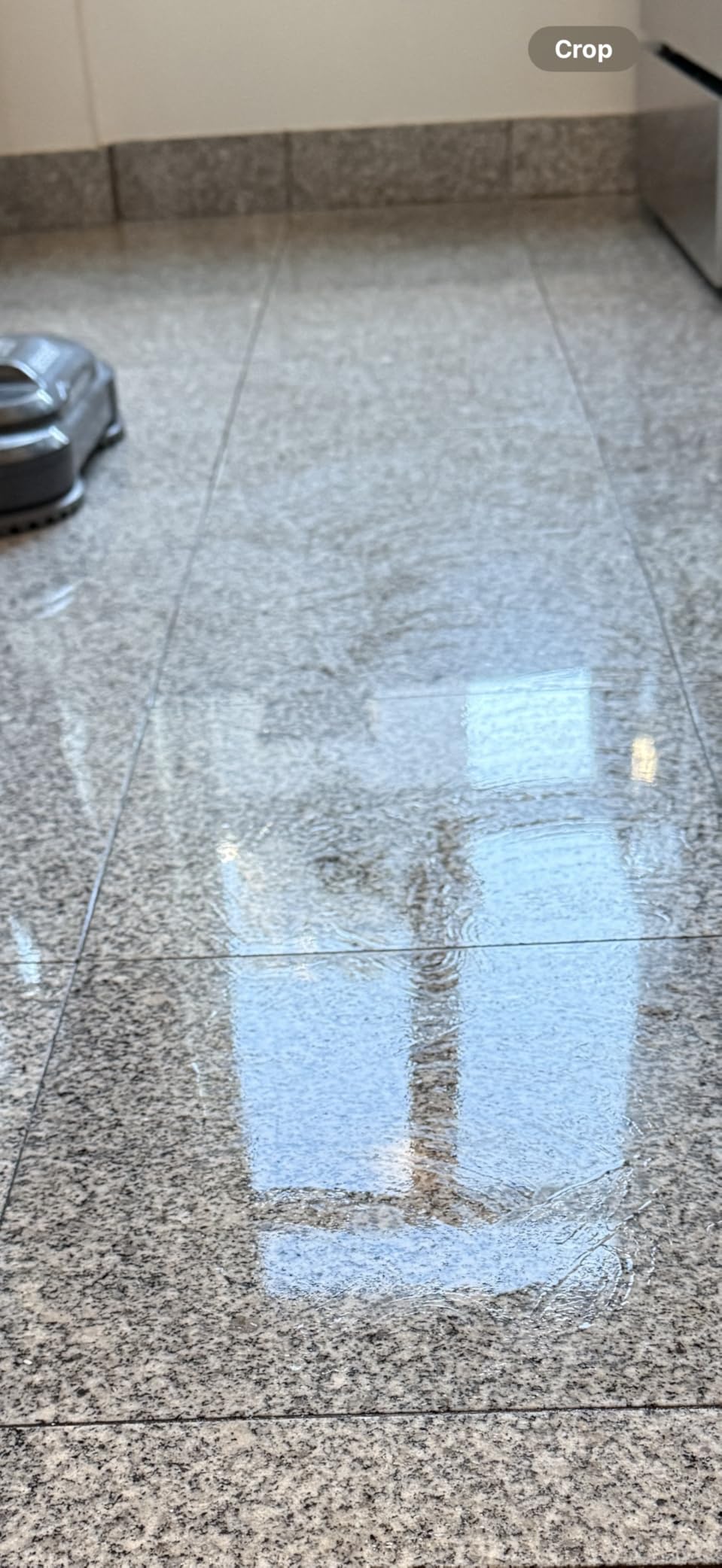 BISSELL Spinwave SmartSteam All-in-One Scrubbing and Sanitizing Electric Hard Floor Steam Mop w/LED Headlights & Swivel Steering 3897A customer photo 2