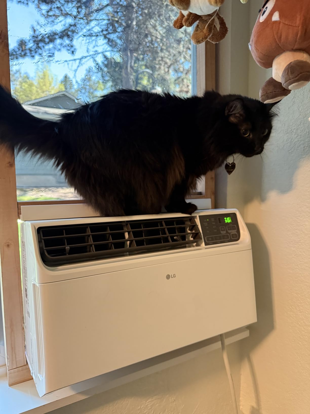 LG 6000 BTU Window Air Conditioner Energy Saving Dual Inverter, Remote Control, WiFi, LG ThinQ, Alexa, Hey Google Enabled Washable Filer Ultra-Quiet Cools Small Room up to 250 Sq.Ft White LW6023IVSM customer photo 2