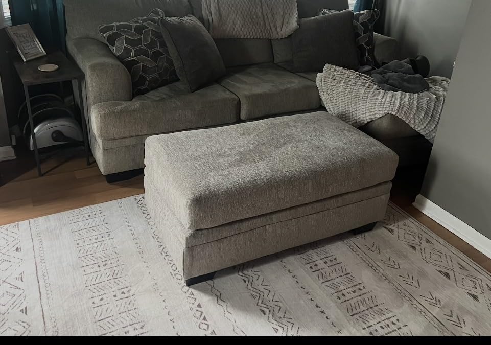 cotiled 5x7 Area Rugs Living Room Rug: Washable Boho Rugs with Non Slip Backing Large Soft Indoor Stain Resistant Carpet for Bedroom Farmhouse Dining Room Lightweight Home Decor Brown/Cream customer photo 1