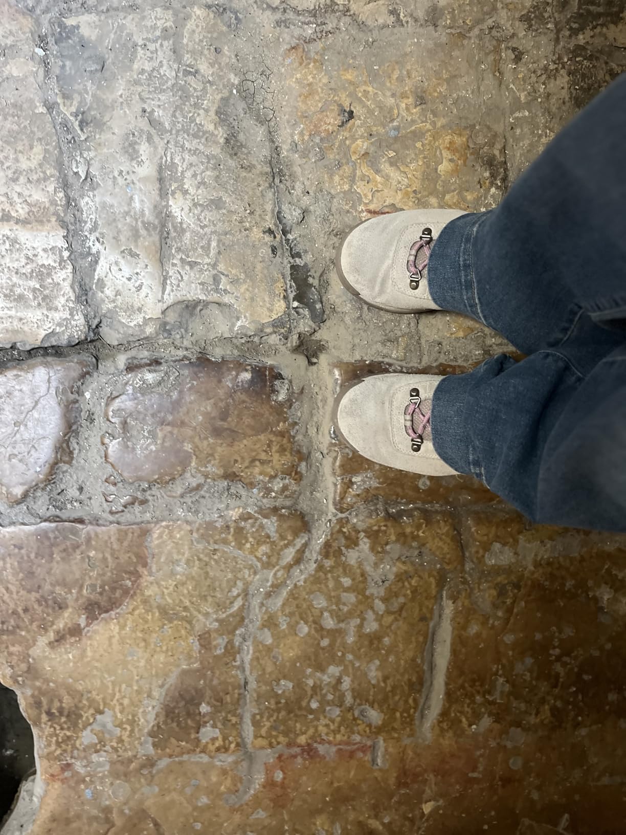 Columbia Women's Newton Ridge Plus Waterproof Amped Hiking Boots customer photo 2