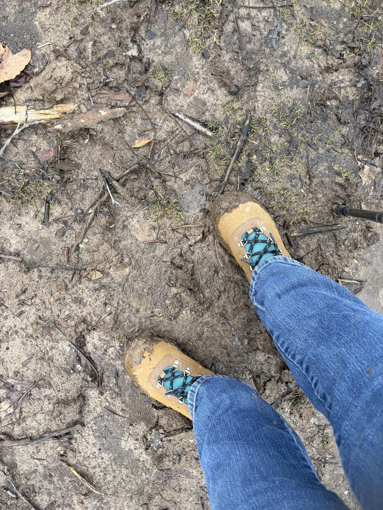 Columbia Women's Newton Ridge Plus Waterproof Hiking Boots customer photo 1