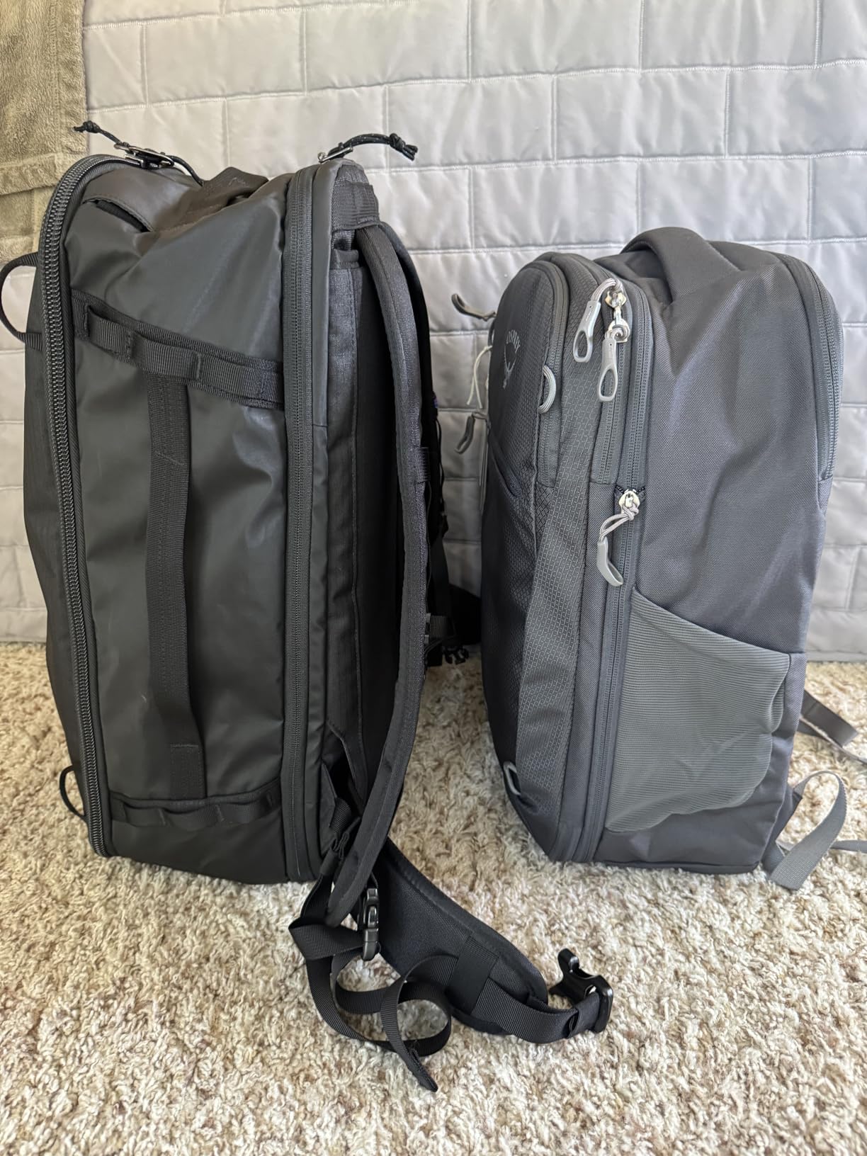 Osprey Daylite Expandable 26+6 Travel Pack, Black customer photo 1