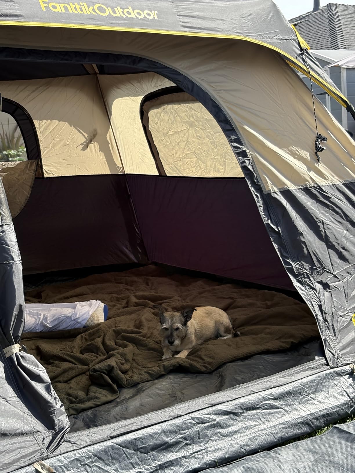 FanttikOutdoor Camping Tent 4/6/8/10 Person Instant Cabin Tent Setup in 60 Seconds with Rainfly & Windproof Portable with Carry Bag for Family Camping & Hiking customer photo 2