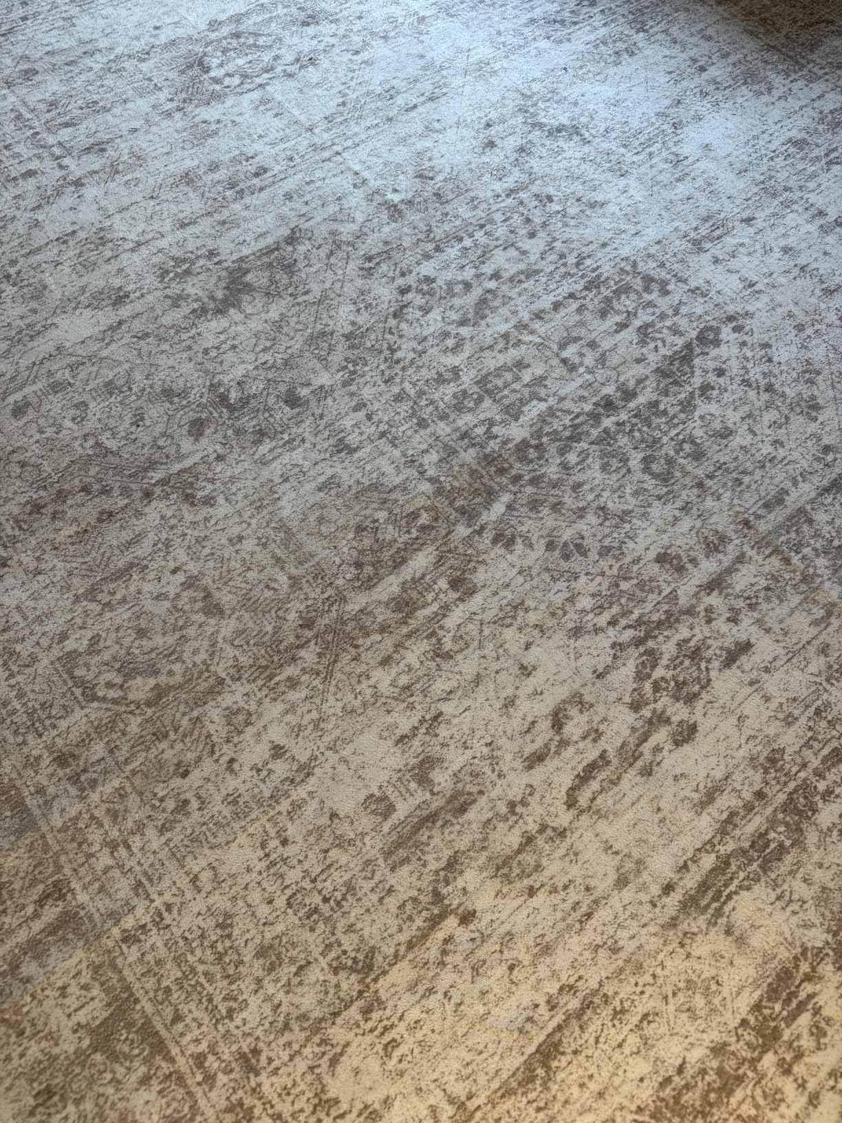 Washable Area Rug 8x10, Large Soft Rugs for Living Room Vintage Beige Carpet 8x10 Area Rugs for Bedroom Dining Room Non-Slip Stain Resistant customer photo 2