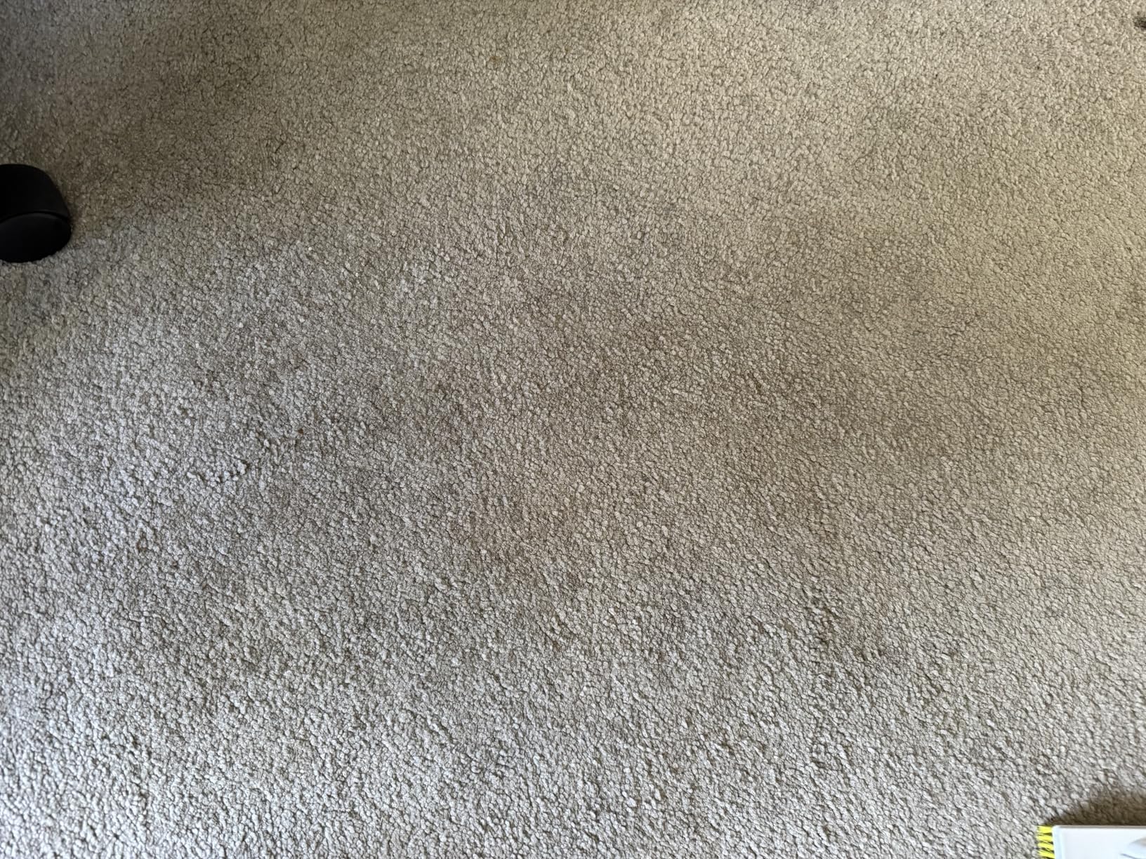 Carbona Carpet Cleaner with Brush | Oxy-Powered Foam for Spot Stain Removal | 13.5 Fl Oz customer photo 1