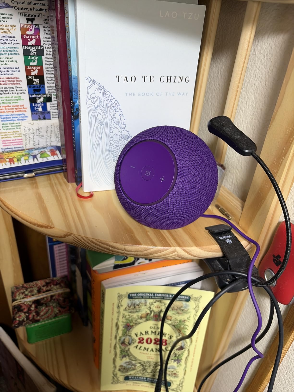Amazon Echo Dot Max (newest model), Alexa speaker with room-filling sound and nearly 3x bass, Great for living rooms and medium-sized spaces, Designed for Alexa+, Graphite customer photo 2
