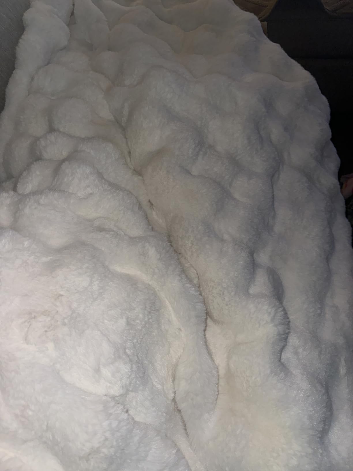 Ultra Soft Cozy Faux Fur Throw Blanket, Fuzzy Plush Thick Bubble Blanket, Luxury Fluffy Blanket for Couch, Sofa, Bedroom, and Living Room, 50x60 Inches, Cream White customer photo 1
