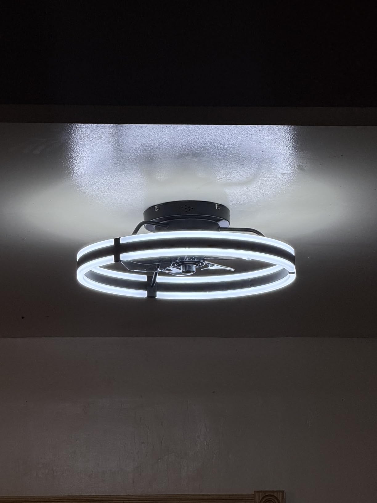 ZMISHIBO 19.7 Inch Fandelier Smart Ceiling Fan for Small Spaces customer photo 2
