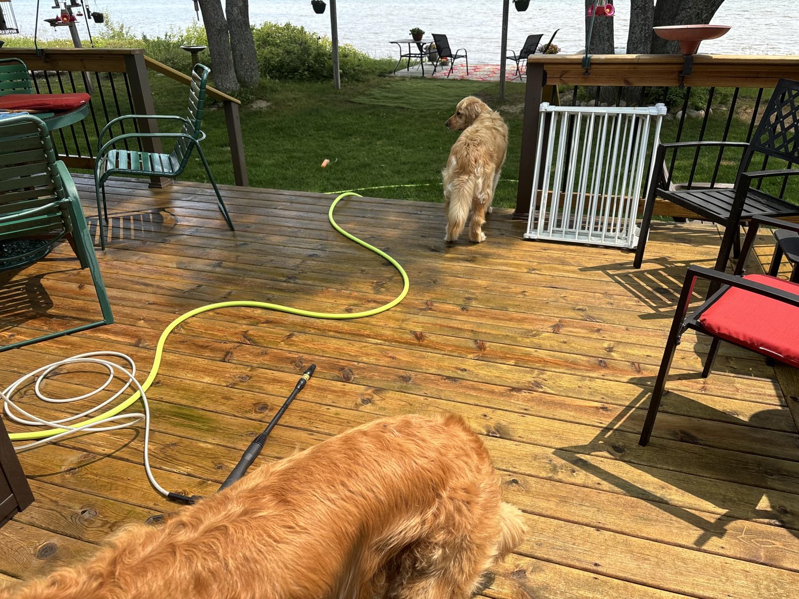 Greenworks 1900 PSI (SGS Certified) 1.2 GPM 13Amp Portable Compact Electric Pressure Washer, Power Washer for Cars, Driveways, Patios, Patio Furniture & Around Pools customer photo 1