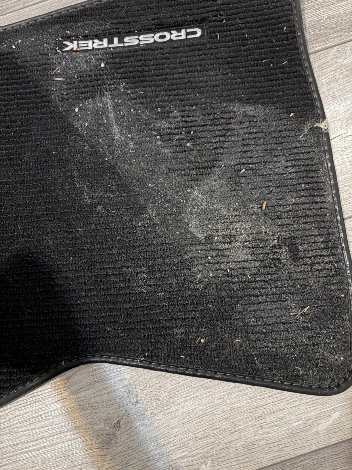 Shark StainStriker HairPro Portable Carpet, Upholstery & Area Rug Cleaner with Pet Mess & Hair Tools, Self-Cleaning, Perfect for Pets & Car Interiors, 4 Cleaning Tools & Pet Solution, Copper, PX251 customer photo 2