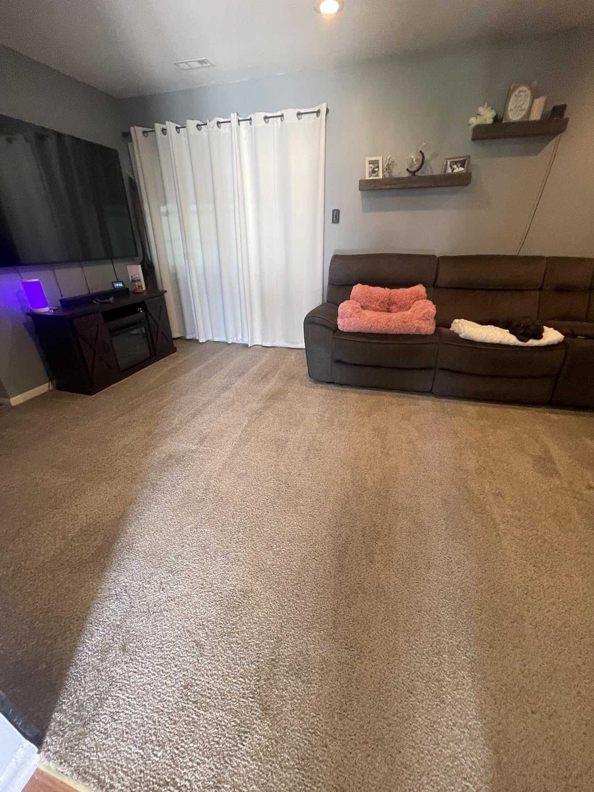 BISSELL TurboClean, Upright Carpet Cleaner, Pro Max Clean & Protect + Oxy Urine Eliminator Formula Included, 3952 customer photo 2