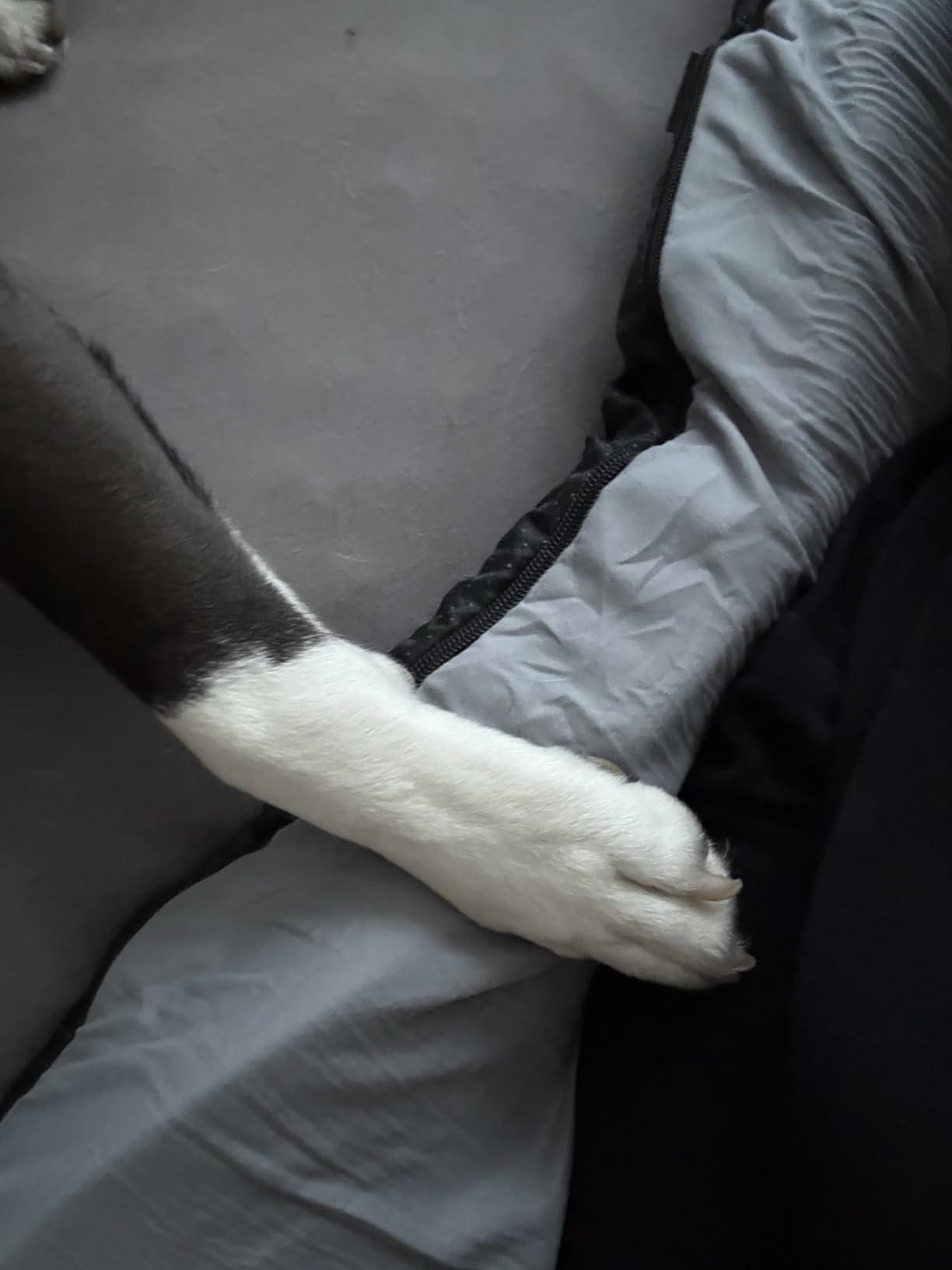 CYMULA Memory Foam Camping Mattress Pad,3inch Sleeping Pad for Camping,Non-Slip Bottom Floor Cot Car Mattress Bed with Retaining Portable Roll up Mattress Pad Mat for Travel Truck Guest Bed Tent customer photo 2