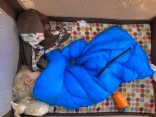 Big Mo 40° Kids Sleeping Bag (Ages 18-36m). The Coziest, Funnest Camping Sleeping Bag for Kids with Adjustable Cuffs. customer photo 2