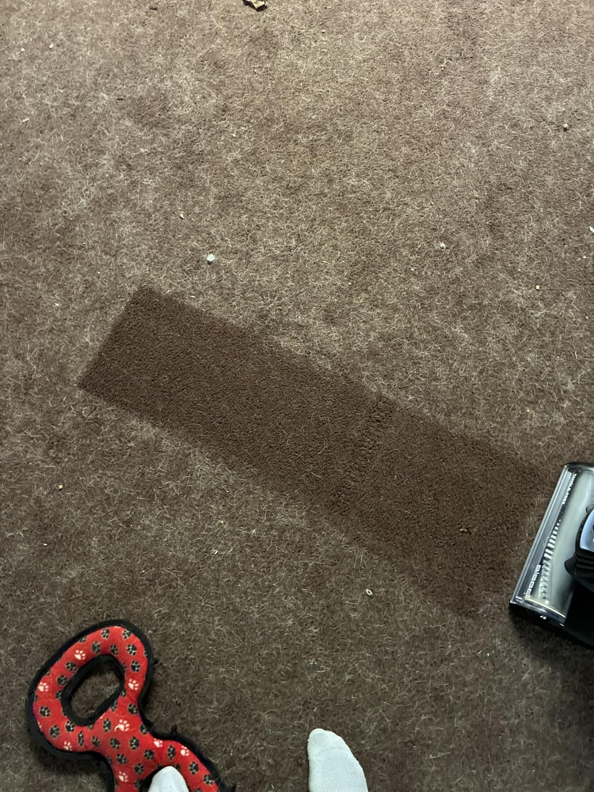 Bissell Pet Hair Eraser Allergen Lift-Off with Powerful Suction, HEPA, Tangle-Free Brush Roll, 39883 customer photo 2