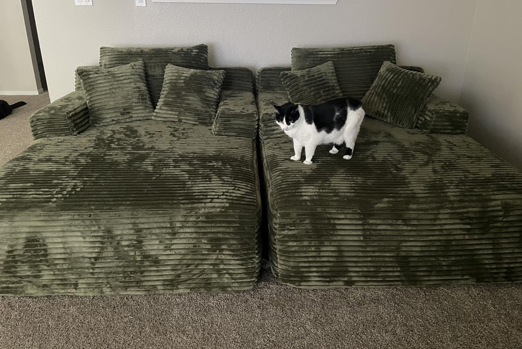 50 Inch Chaise Lounge Chair Indoor, Oversized Corduroy Upholstered Boneless Sofa Bed, Deep Seat Sleeper Couch Reading Chairs, Cloud Sofas Couches for Living Room, No Assembly Required (Dark Grey) customer photo 1