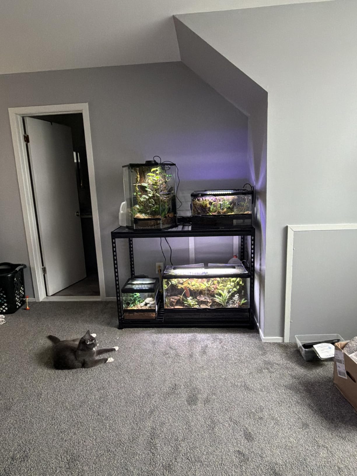 WORKPRO 5-Tier Heavy Duty Metal Shelving Unit, 72