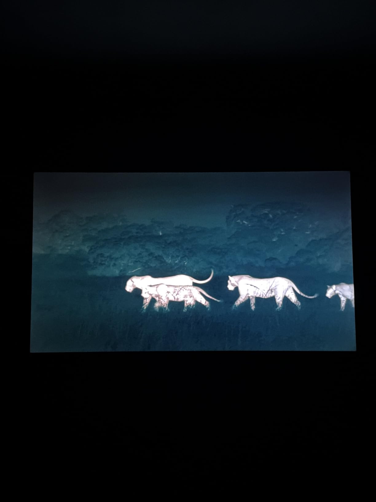 Roku Smart TV - 65-Inch Plus Series, Mini-LED TV - RokuTV with Enhanced Voice Remote - Flat Screen 4K QLED Television with Dolby Vision & Wi-Fi for Streaming Live Local News, Sports customer photo 2