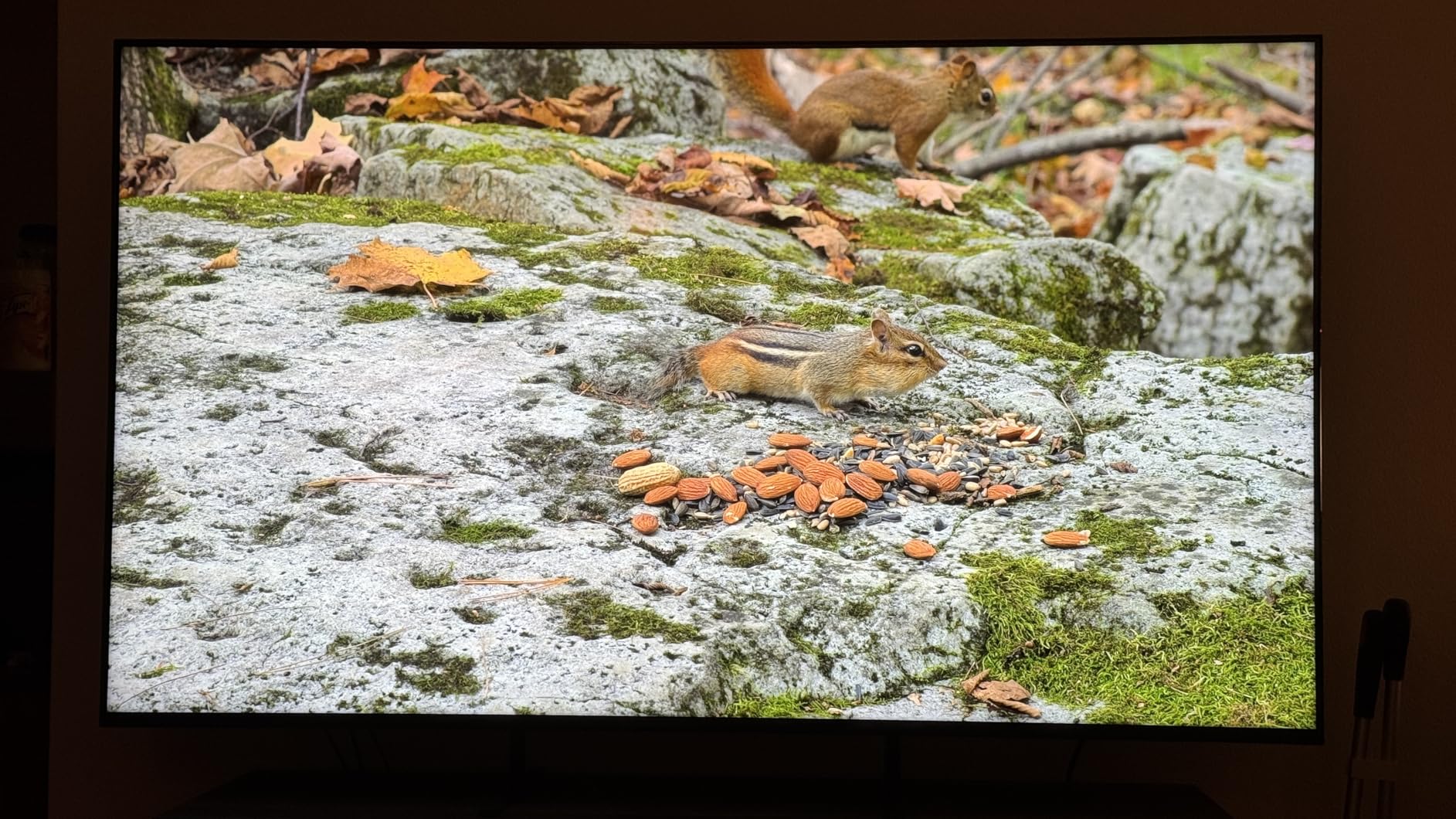 Sony BRAVIA 5 65 Inch TV, Mini LED, 4K Smart Google TV, XR Processor with AI Technology, 120hz Television with Dolby Vision/Atmos, Exclusive Features for PlayStation 5, K-65XR50 customer photo 1