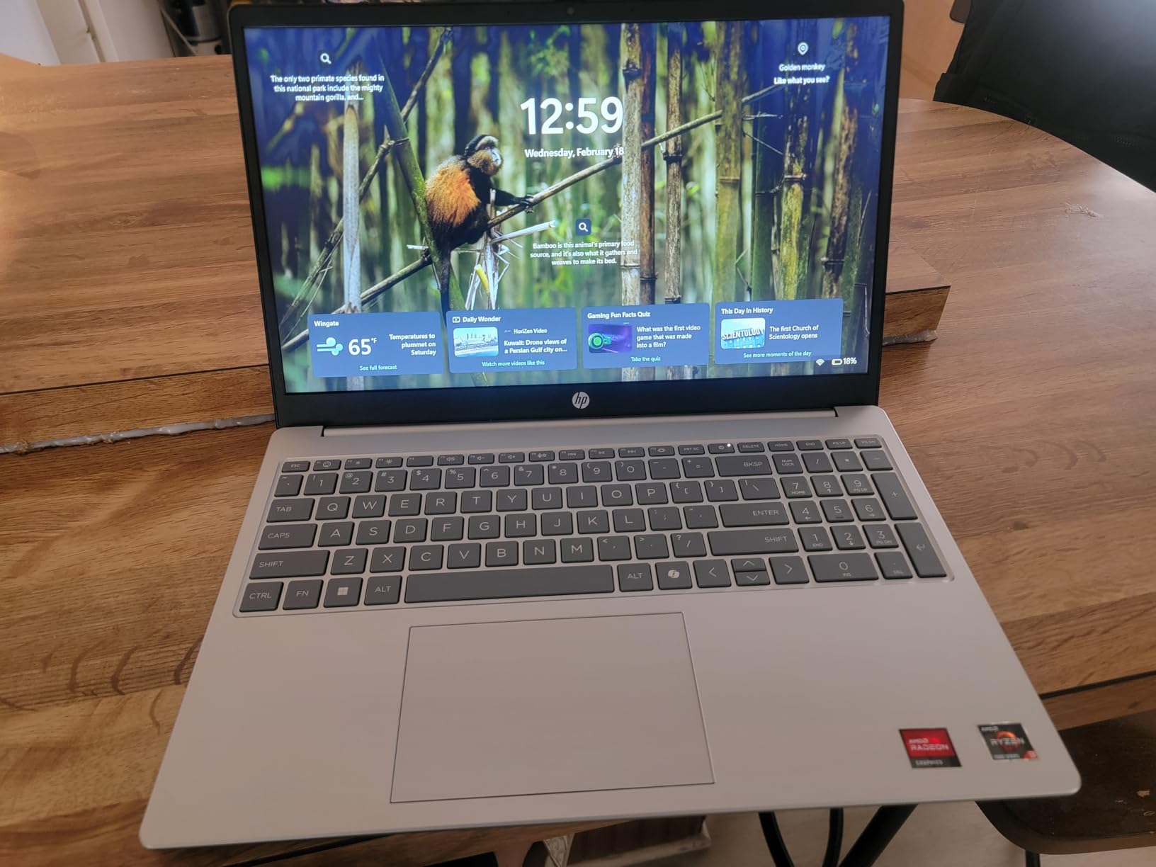 HP 15.6 inch Laptop, HD Touchscreen Display, AMD Ryzen 3 7320U, 8 GB RAM, 128 GB SSD, AMD Radeon Graphics, Windows 11 Home in S Mode, Natural Silver customer photo 2