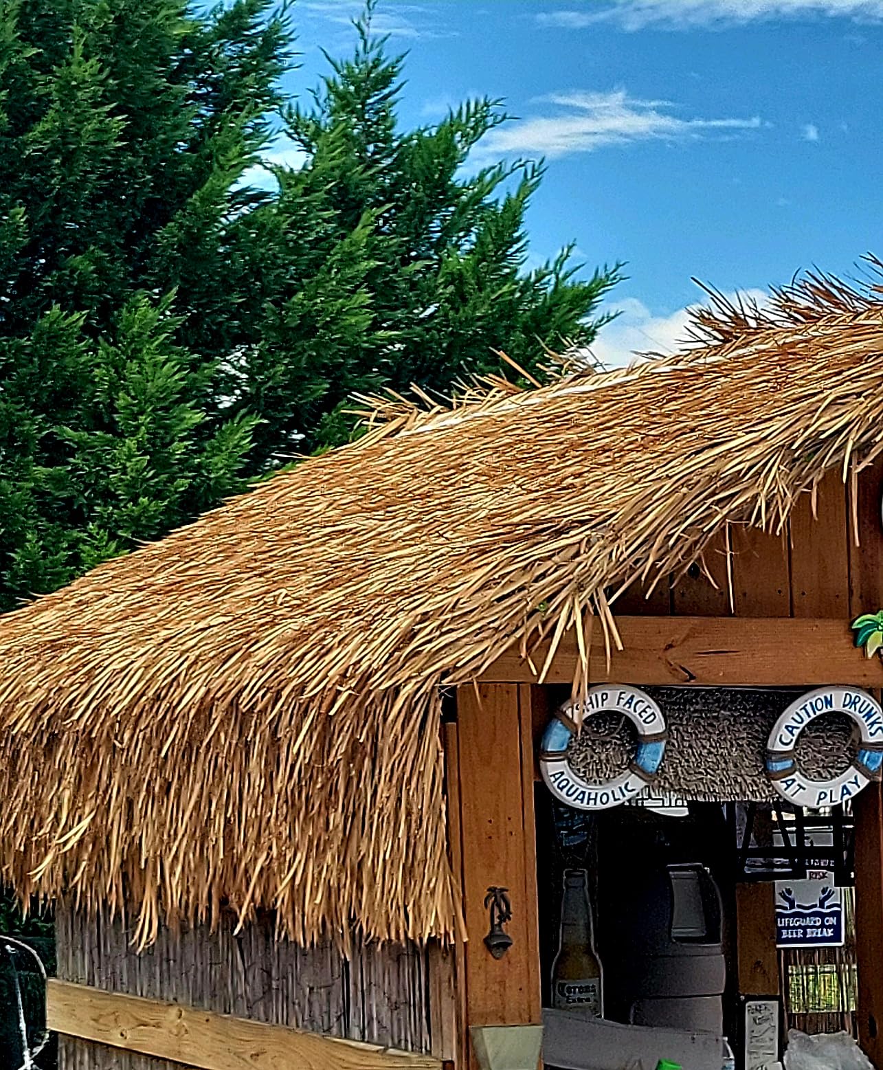 Forever Bamboo Mexican Palm Thatch Roof Runner Roll Tiki Hut Thatch Duck Boat Blinds Grass Palapa Thatch Roofing for Tiki Bar Huts 35 in H x 60 ft L customer photo 1