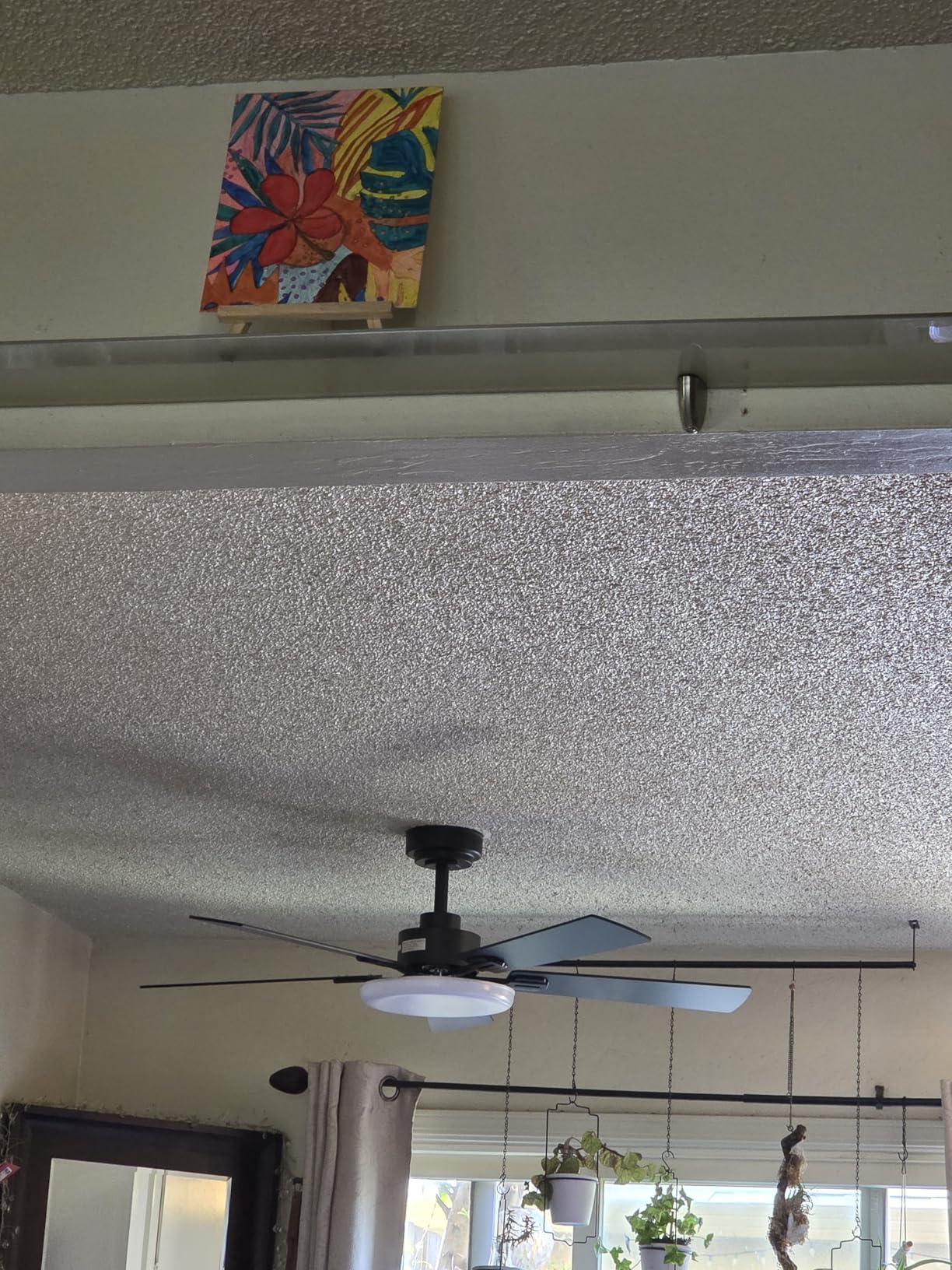 Passky Ceiling Fans with Lights, 52 inch Sleek Ceiling Fan with Light and Remote Control, 3CCT, Dimmable, Reversible, Noiseless, Black Ceiling Fan for Bedroom, Living Room customer photo 1