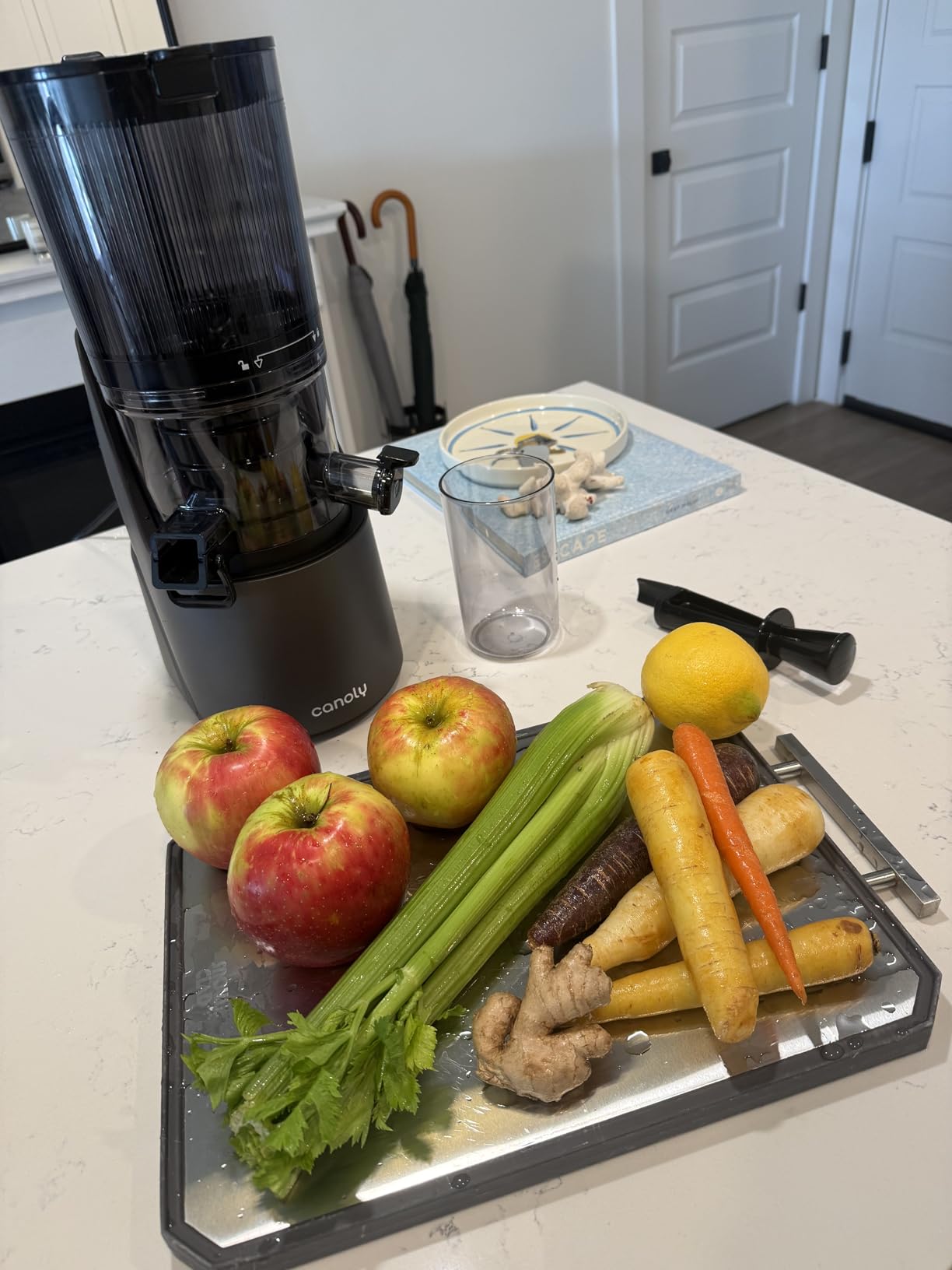 Canoly C16 Cold Press Juicer, 6